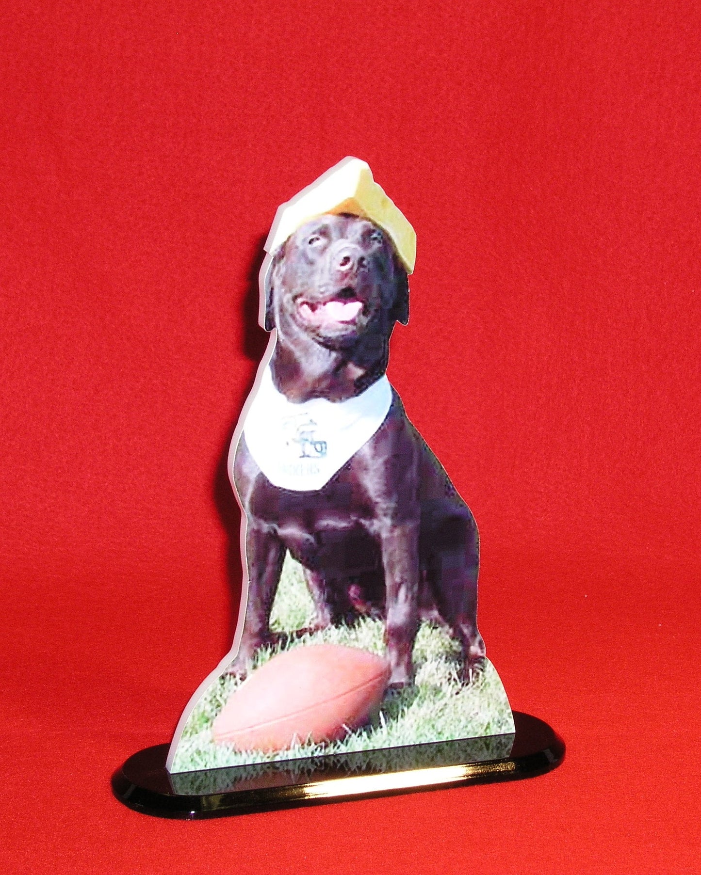 custom photo sculpture of pet on black base